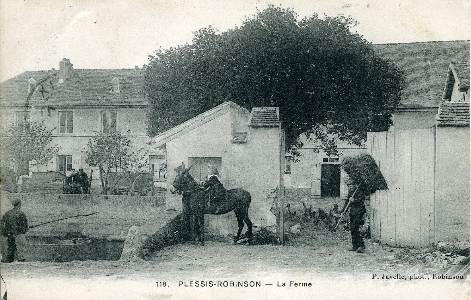La cour avec son bassin.