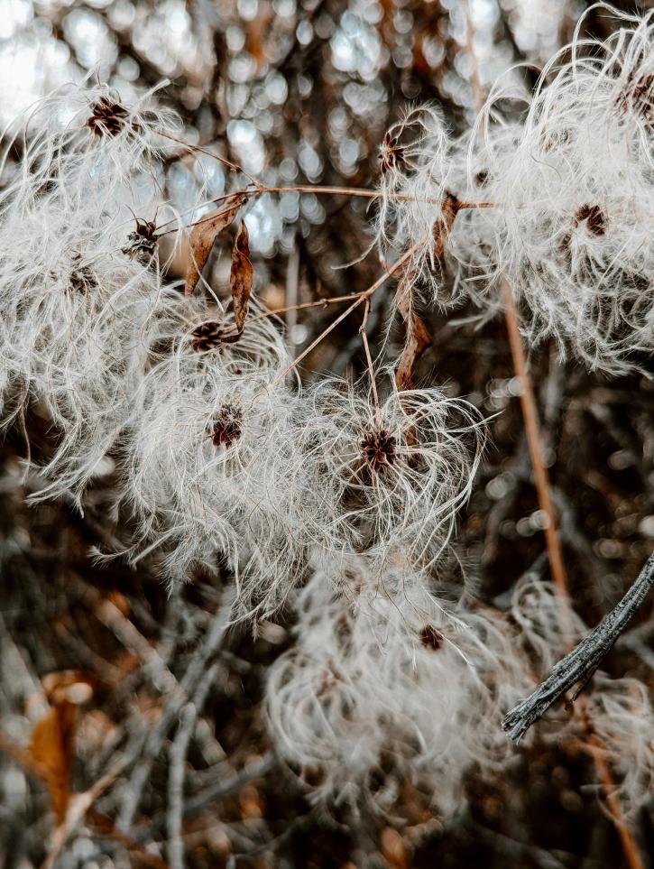 Pour la toucher, n’oubliez pas vos gants.