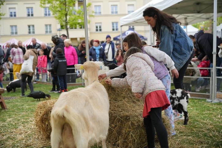 En plus de la chasse aux oeufs, les bébés animaux seront présents aux Cloches.