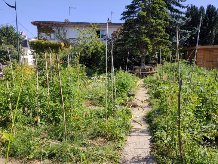 Cultiver collectivement au Clos des lunettes.